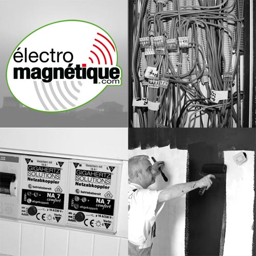formation mise en oeuvre de solutions de protection contre les ondes et pollutions électromagnétiques