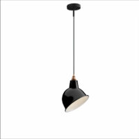 Suspension, luminaire blindé contre les champs électriques 50/60 Hz DINARD noire